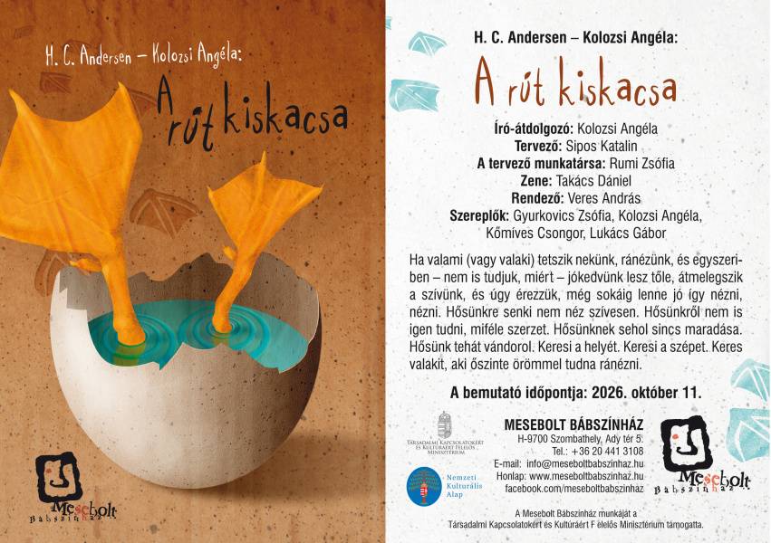 A rút kiskacsa 